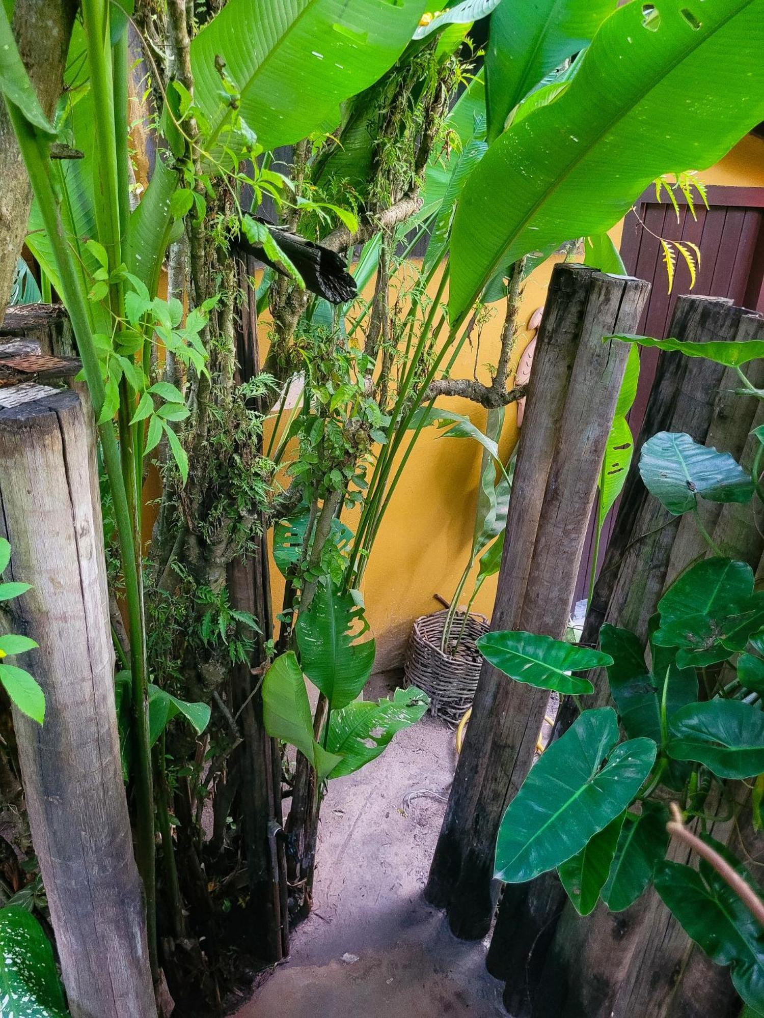 Pousada Raiz Forte Caraíva المظهر الخارجي الصورة